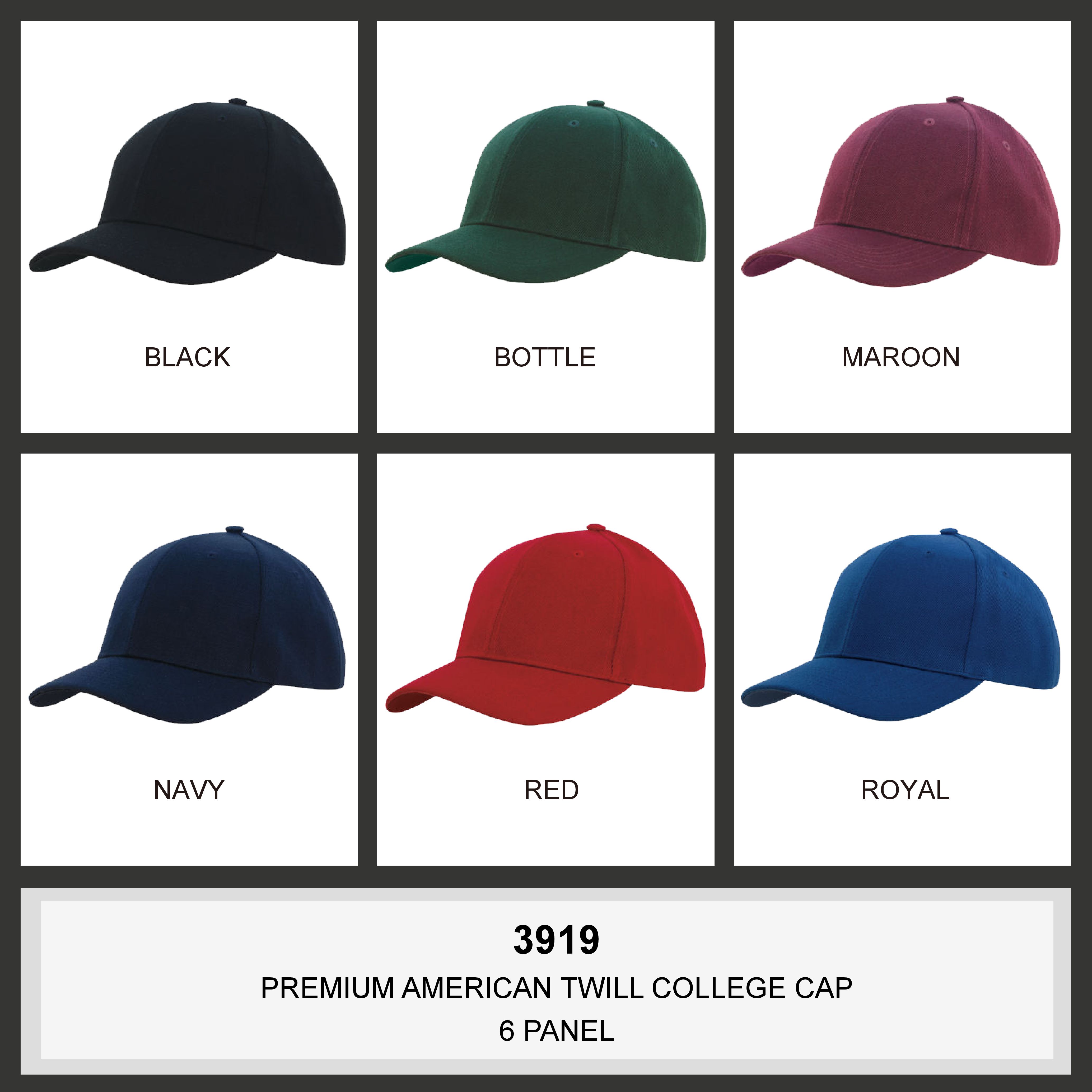 Premium American Twill College Cap (3919) 2 | | Promotion Wear